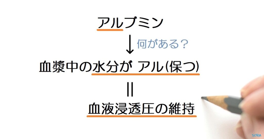 アルブミンの機能の覚え方