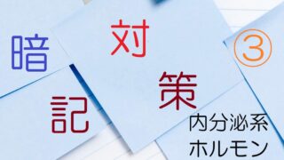 暗記対策③ 内分泌系ホルモン